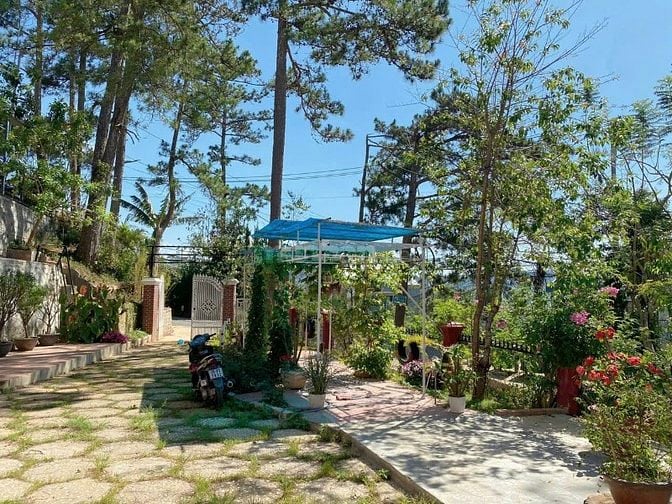 Cho thuê biệt thự sân vườn 600m2 phường Xuân Hương Đà Lạt