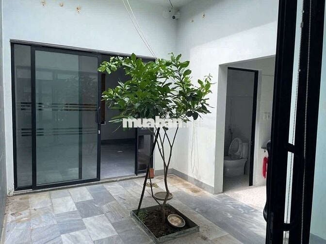 Cho thuê nhà c4 mt Nguyễn quang diệu hòa xuân