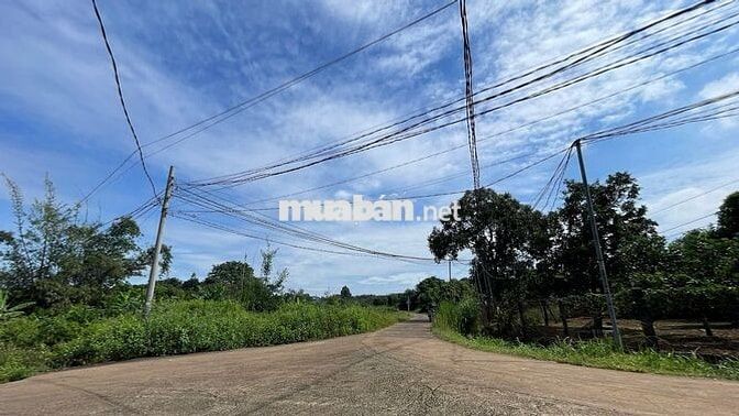 Cơ Hội Đầu Tư Vàng Đất Rẻ Thổ Cư Ven Suối Giáp SB Long Thành Chỉ 17km