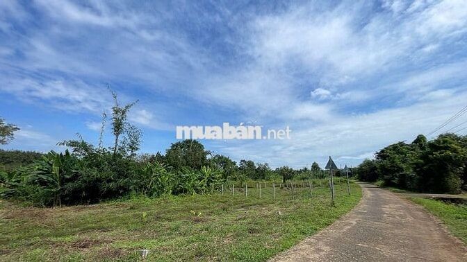 Cơ Hội Đầu Tư Vàng Đất Rẻ Thổ Cư Ven Suối Giáp SB Long Thành Chỉ 17km