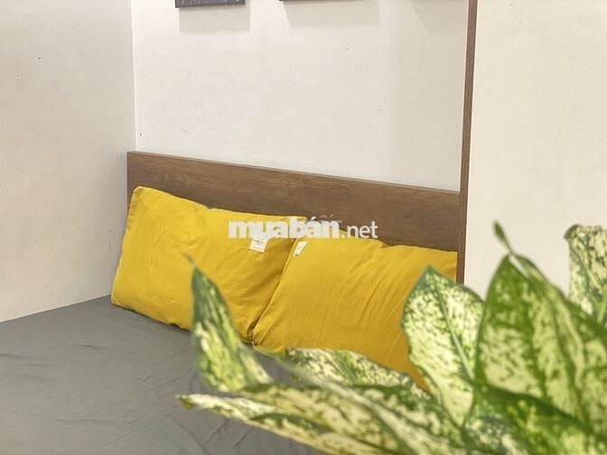 CHO THUÊ PHÒNG STUDIO TẠI KHƯƠNG ĐÌNH - GIÁ CHỈ 3TR5/THÁNG