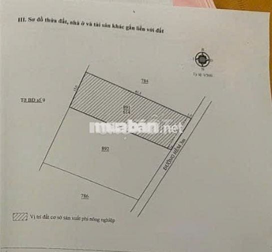 BÁN ĐÁT Ở ĐƯỜNG TRÁNH LỘC SƠN ĐÃ CHUYỂN ĐỎI SANG ĐẤT XÂY DỰNG