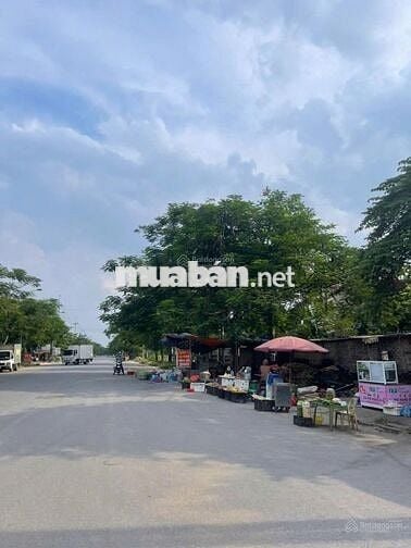 CHÍNH CHỦ BÁN ĐẤT THỔ CƯ SẴN SỔ ĐỐI DIỆN DỰ ÁN KĐT ĐÔNG NAM