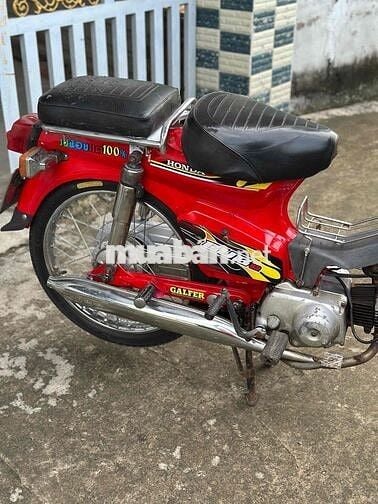 Cub82