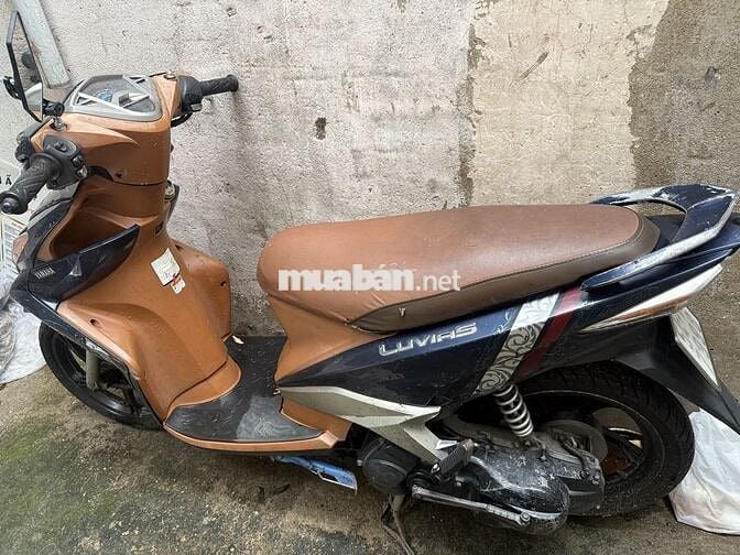 Cần tìm chủ mới cho e LUVIASSSS