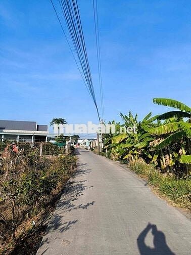 cần bán gấp đất mặt tiền cây mắm long cang