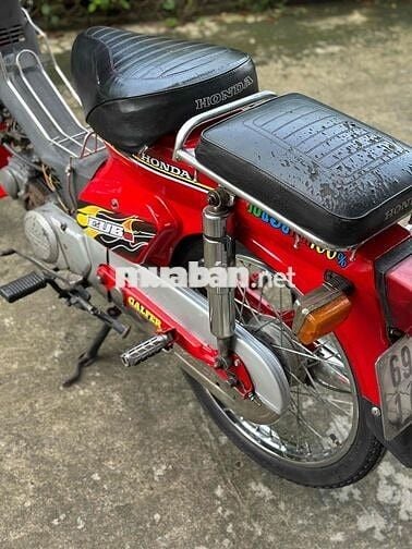 Cub82