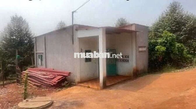 Chủ cần bán gấp nhà và vườn sầu riêng