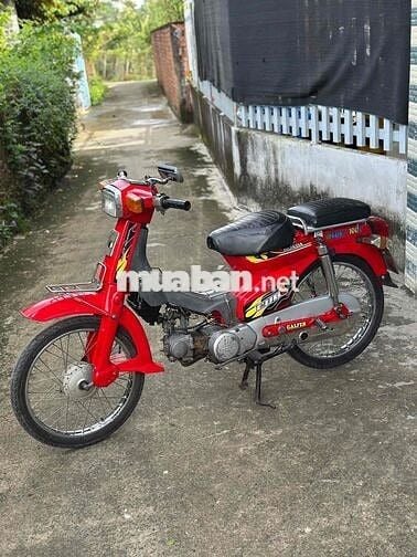 Cub82