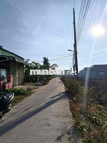 cần bán gấp đất mặt tiền cây mắm long cang
