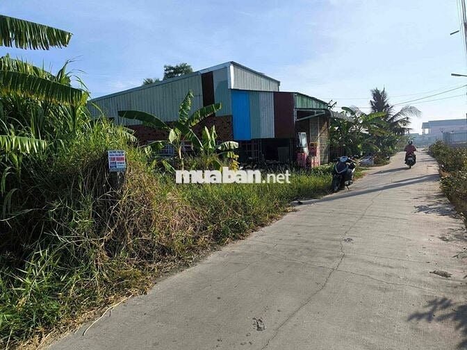 cần bán gấp đất mặt tiền cây mắm long cang