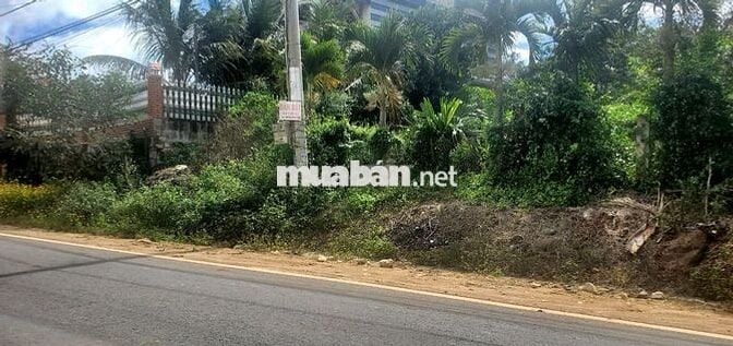 6M MẶT  TIỀN ĐƯỜNG NHỰA NGAY CHỢ KADO