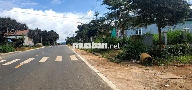 6M MẶT  TIỀN ĐƯỜNG NHỰA NGAY CHỢ KADO