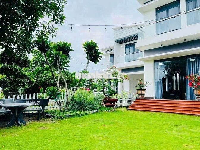 BÁN GẤP 3 CĂN VILA XUYÊN MỘCpp