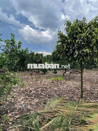 140m2 thổ cư sổ riêng Phường Bình Lộc