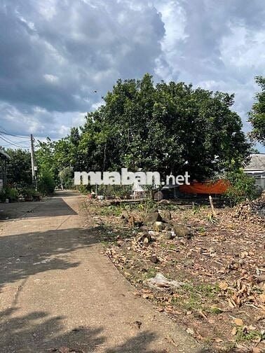 140m2 thổ cư sổ riêng Phường Bình Lộc