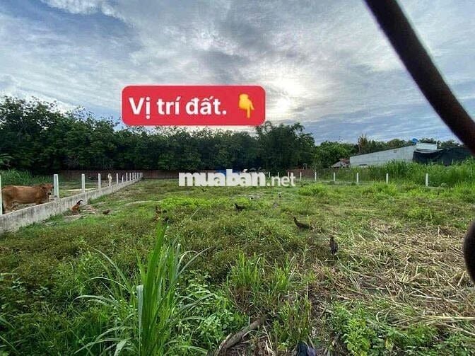 đất nền ở tân phú tân châu tây ninh