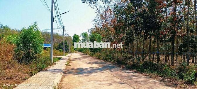 Chủ gửi bán gấp chữa trị cho con. Đất mặt đường, giá rẻ, có thổ cư!