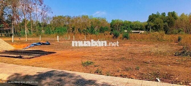 Chủ gửi bán gấp chữa trị cho con. Đất mặt đường, giá rẻ, có thổ cư!