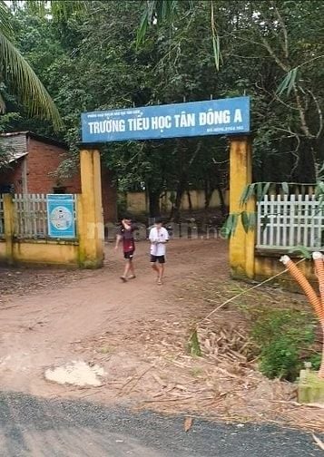 Cần tiền bán gấp trong tháng, giảm sâu lô đất 30m mặt tiền đường nhựa.