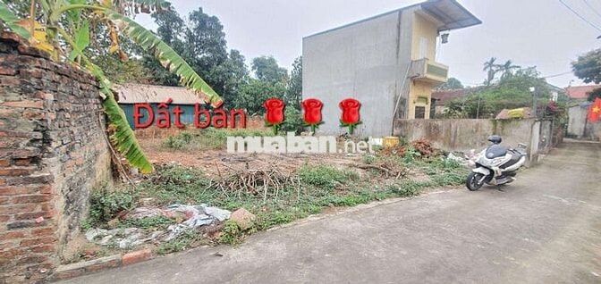 MINH TRÍ, SÓC SƠN 
CẦN THANH KHOẢN GẤP, GIẢM CHÀO 200TR,GIÁ CHỈ 1.8 TỶ MINH TRÍ, SÓC SƠN 
CẦN THANH KHOẢN GẤP, GIẢM CHÀO 200TR,GIÁ CHỈ 1.8 TỶ