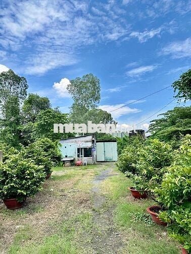 Cho thuê đất trống từ 1.000m2 kinh doanh mọi ngành nghề Linh Xuân TĐ