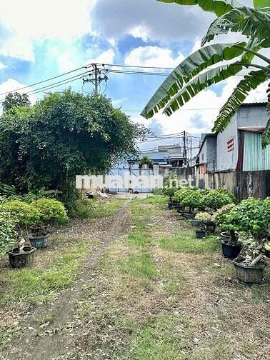 Cho thuê đất trống từ 1.000m2 kinh doanh mọi ngành nghề Linh Xuân TĐ