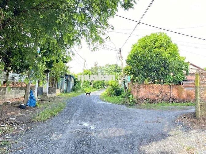 🔥 BÁN LÔ ĐẤT GÓC 2 MẶT TIỀN GIÁ SIÊU RẺ 🔥