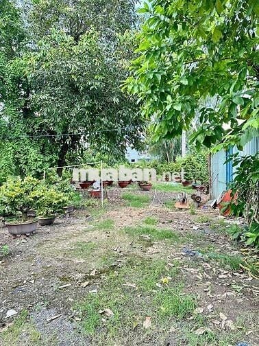Cho thuê đất trống từ 1.000m2 kinh doanh mọi ngành nghề Linh Xuân TĐ