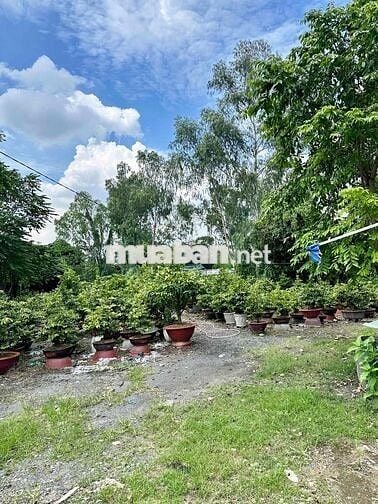 Cho thuê đất trống từ 1.000m2 kinh doanh mọi ngành nghề Linh Xuân TĐ