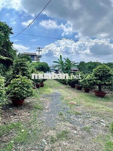 Cho thuê đất trống từ 1.000m2 kinh doanh mọi ngành nghề Linh Xuân TĐ