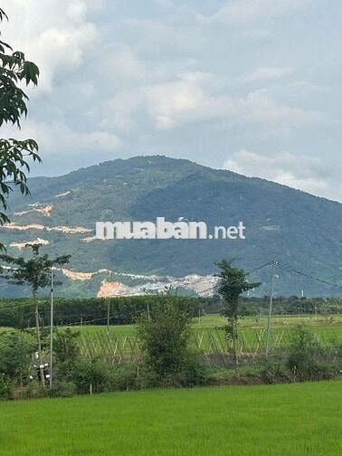 ĐẤT KHU DU LỊCH NÚI CHỨA CHAN- XUÂN LỘC- SỔ RIÊNG, FULL THỔ CƯ