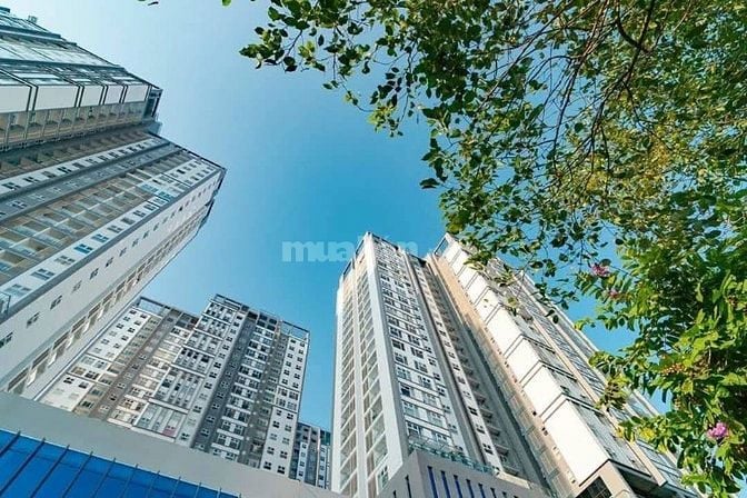 Bán căn hộ Xi Grand Court 90m² 3PN - sổ hồng riêng - view đẹp - 8.5 tỷ