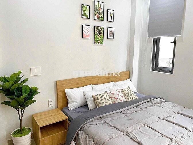 Cho Thuê Căn Hộ Studio 40m2 Full NT Cửa Sổ Ngay Lê Văn Sỹ PCCC Đầy Đủ