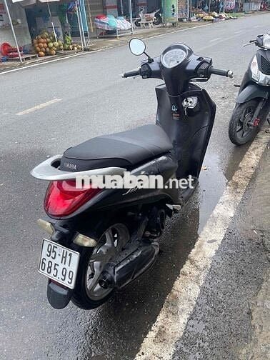 Jamus biển 95 máy êm ru fun chức năng áo đẹp
