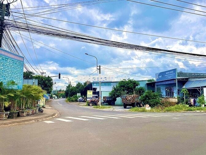 BÁN ĐẤT GIA ĐÌNH MẶT TIỀN ĐƯỜNG NHỰa