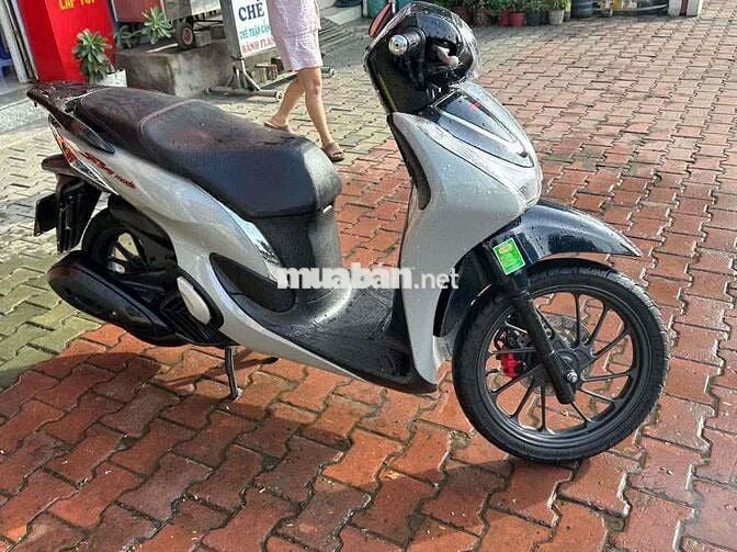 sh mode 2023 xám xi măng