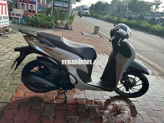 sh mode 2023 xám xi măng