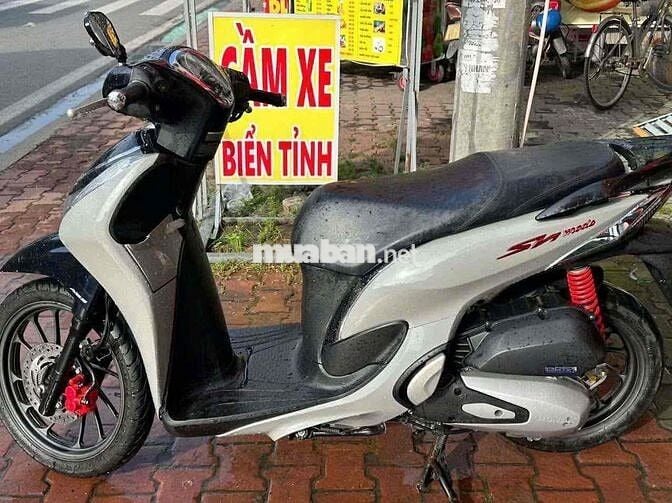 sh mode 2023 xám xi măng