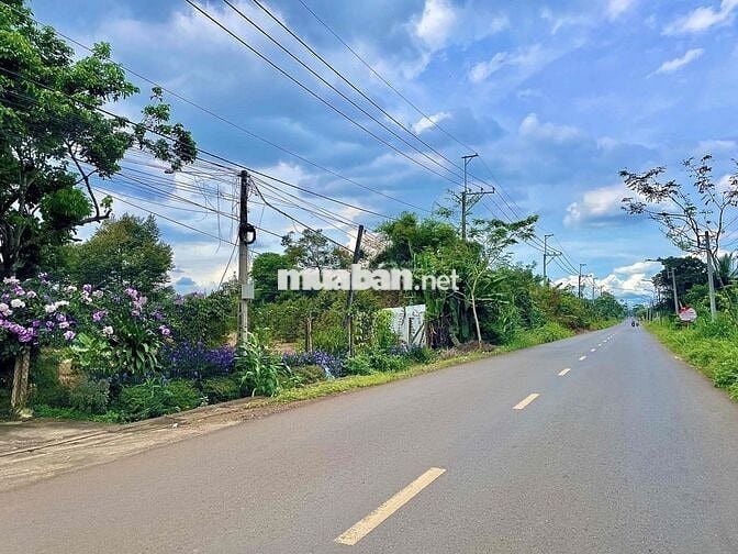 BÁN ĐẤT GIA ĐÌNH MẶT TIỀN ĐƯỜNG NHỰa