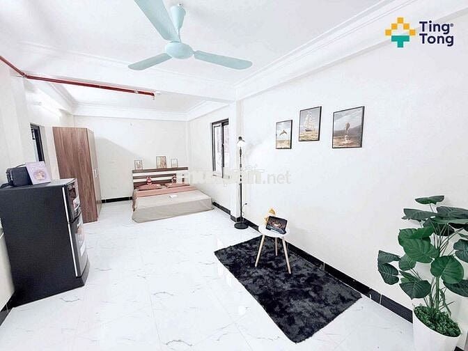 KHAI TRƯƠNG CCMN KHU VỰC ĐẠI LINH TRUNG VĂN 3KM SANG VẠN PHÚC