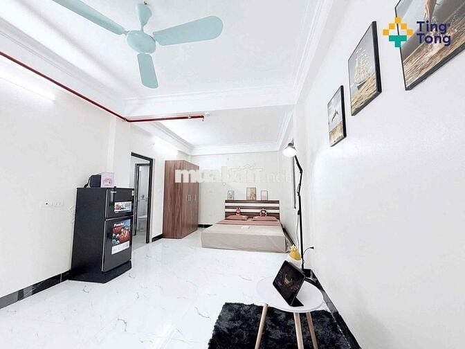 KHAI TRƯƠNG CCMN KHU VỰC ĐẠI LINH TRUNG VĂN 3KM SANG VẠN PHÚC