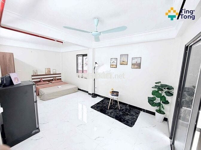 KHAI TRƯƠNG CCMN KHU VỰC ĐẠI LINH TRUNG VĂN 3KM SANG VẠN PHÚC