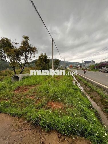 Bán đất mặt tiền DT27C Đạ Sar – 6600m² – 40 tỷ TL