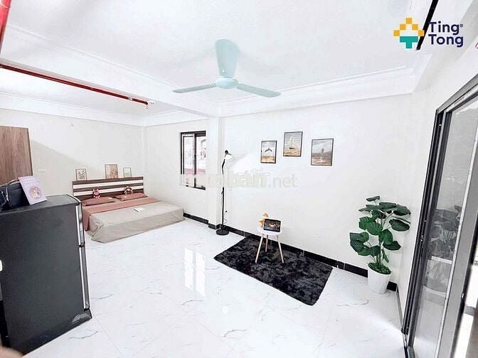 KHAI TRƯƠNG CCMN KHU VỰC ĐẠI LINH TRUNG VĂN 3KM SANG VẠN PHÚC