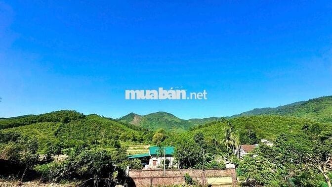 Bán 1237m2, thổ cư 200m, sổ HN tại xã Yên Xuân (Thạch Thất). Giá 5tr/m