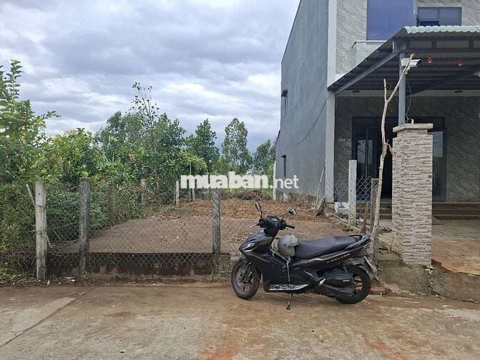 Đất sổ hồng chính chủ diện tích 115m2 đất thổ cư 100m2. Đường lớn 5.5m