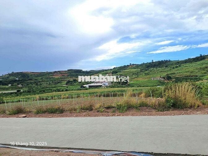 🌤 CHỈ 630 TRIỆU SỞ HỮU NGAY 1000M² ĐẤT VIEW ĐỒI NÚI 360° TẠI TÂN HÀ –