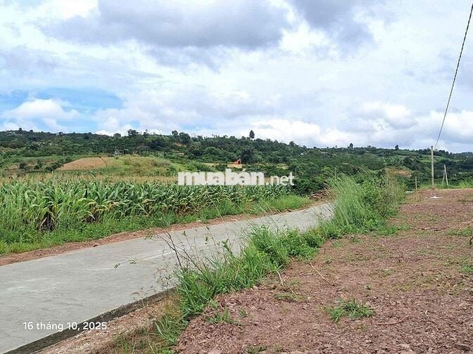 🌤 CHỈ 630 TRIỆU SỞ HỮU NGAY 1000M² ĐẤT VIEW ĐỒI NÚI 360° TẠI TÂN HÀ –