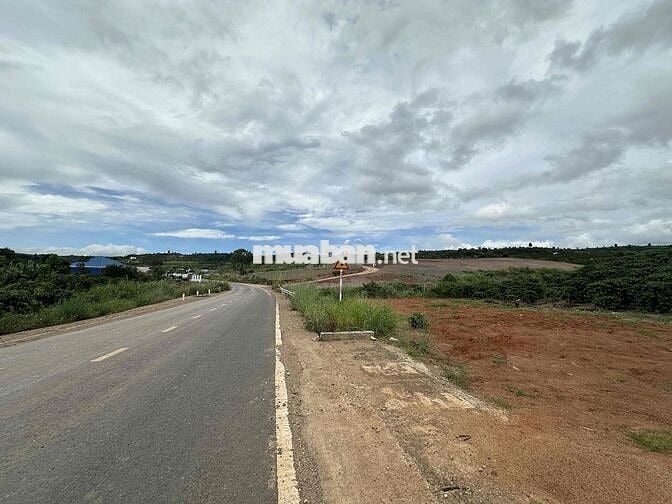 🌤 CHỈ 630 TRIỆU SỞ HỮU NGAY 1000M² ĐẤT VIEW ĐỒI NÚI 360° TẠI TÂN HÀ –